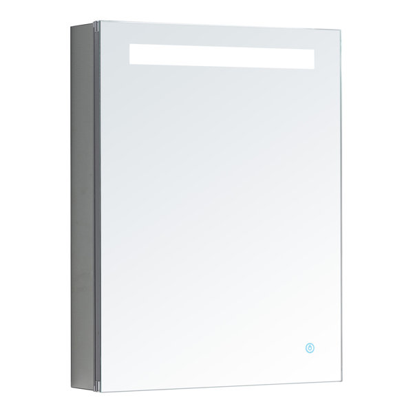 Orren Ellis Woodville Recessed or Surface Mount Frameless Medicine